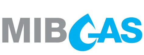PRECIO GAS MIBGAS EFIPROC